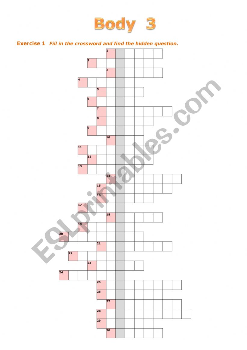 Body 3 worksheet