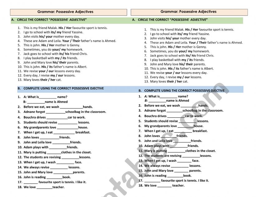 possessive adjectives worksheet
