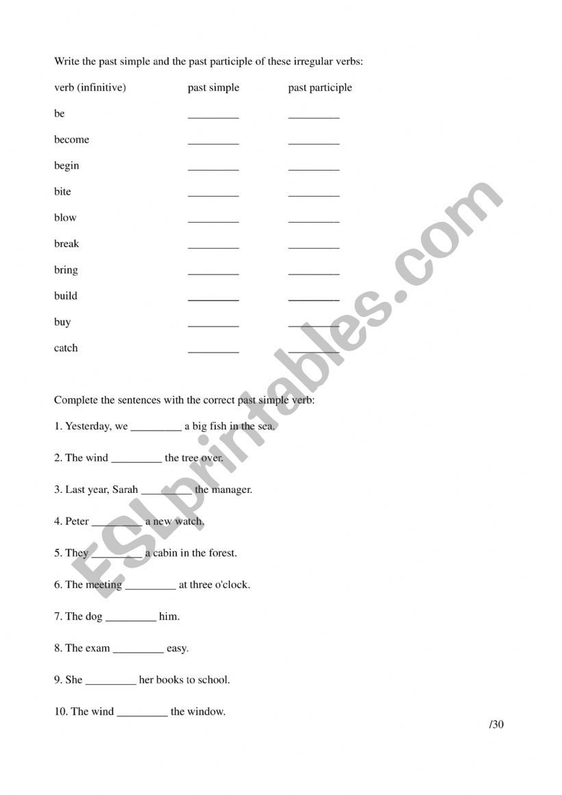 Irregular verbs practice  worksheet