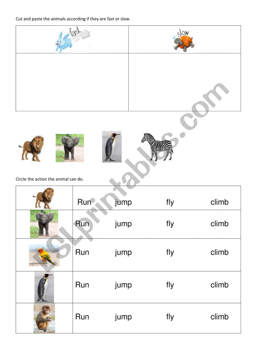 Animals abilities worksheet