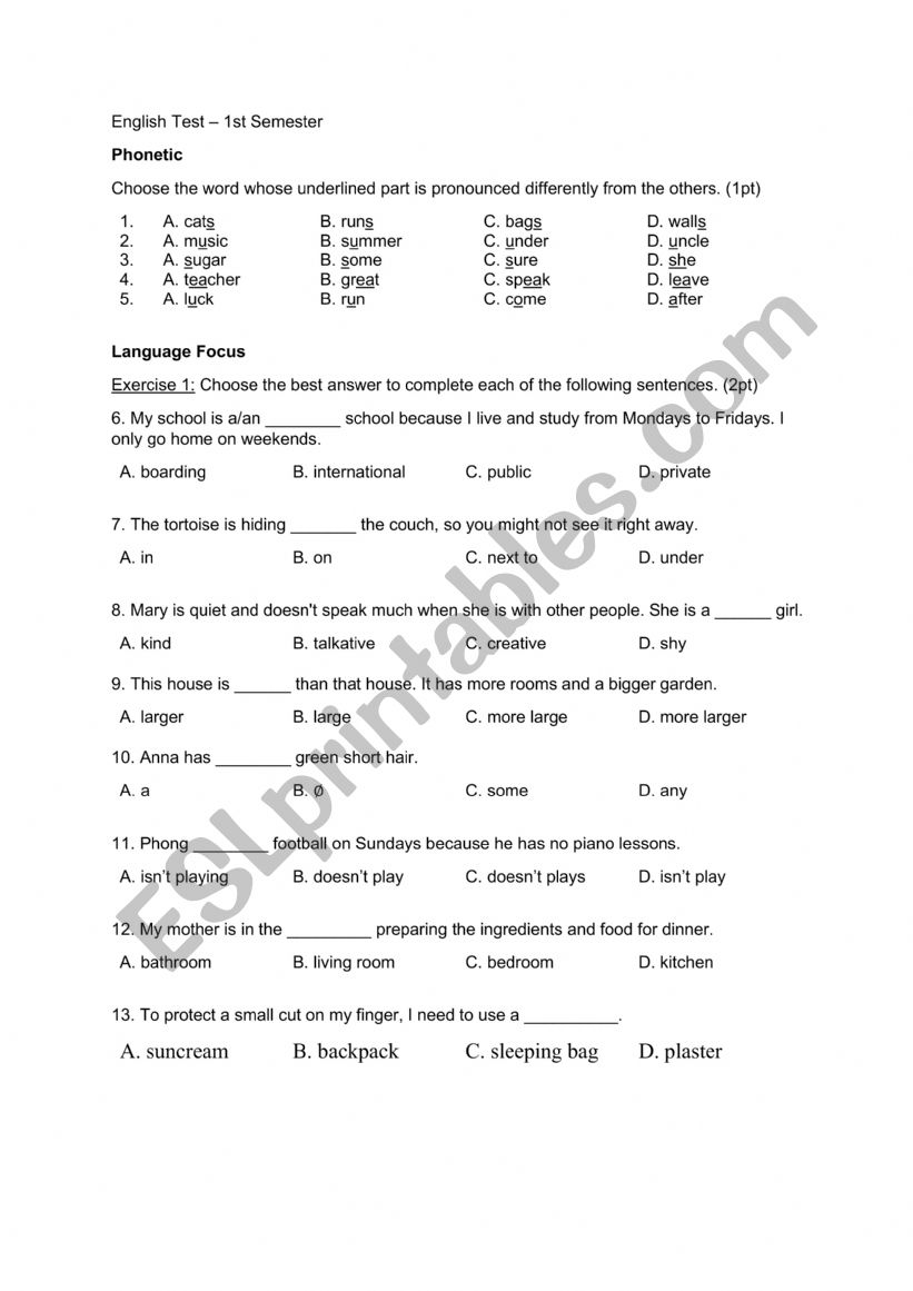English 1st term test Grade 6 part 1