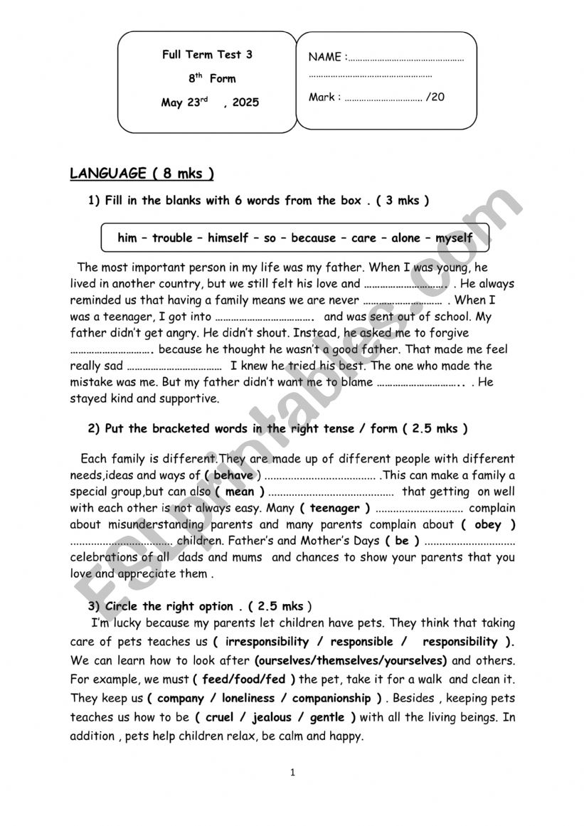end of term test 3  worksheet