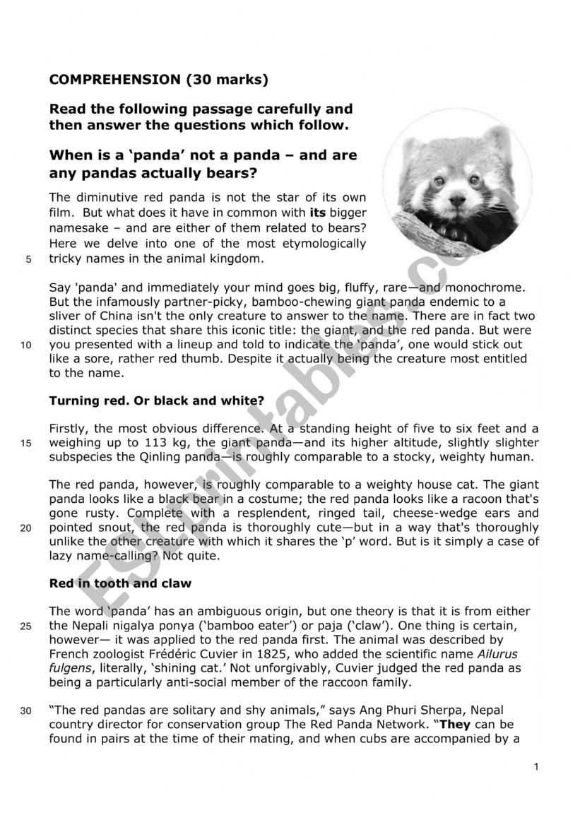 COMPREHENSION: PANDAS worksheet