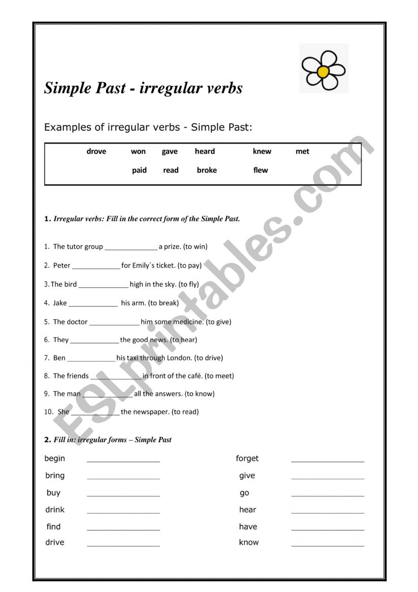 irregular past verbs worksheet