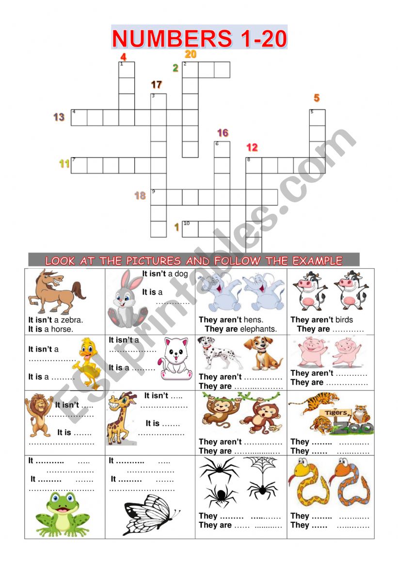 review numbers 1 -20 animals and verb to be