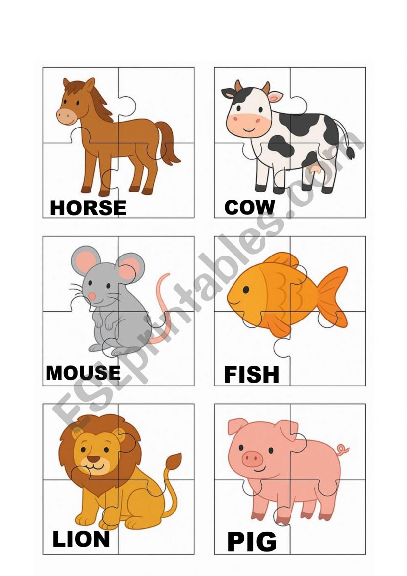 animALS worksheet