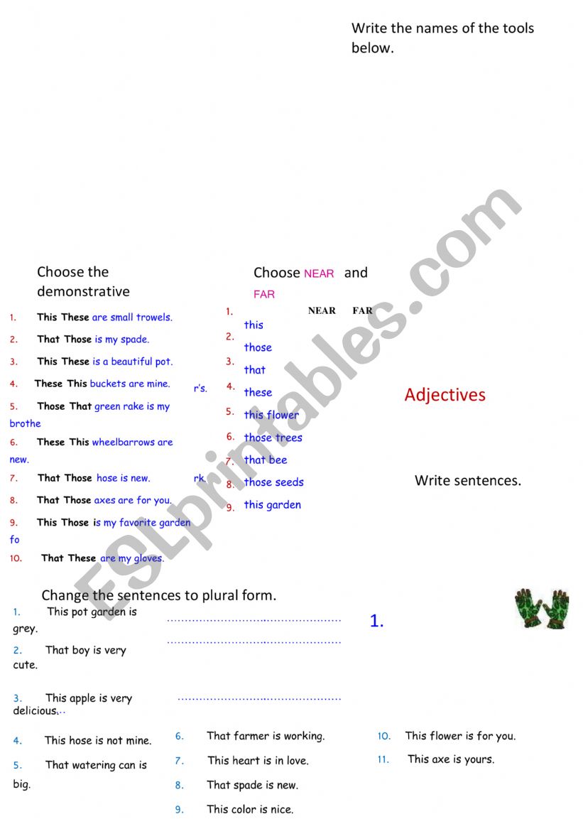Demonstratives adjectives worksheet