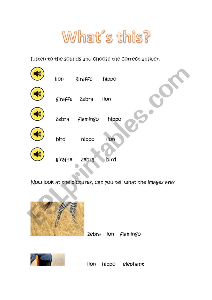 animals worksheet