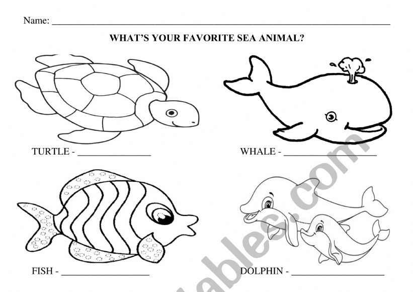 Sea animals worksheet