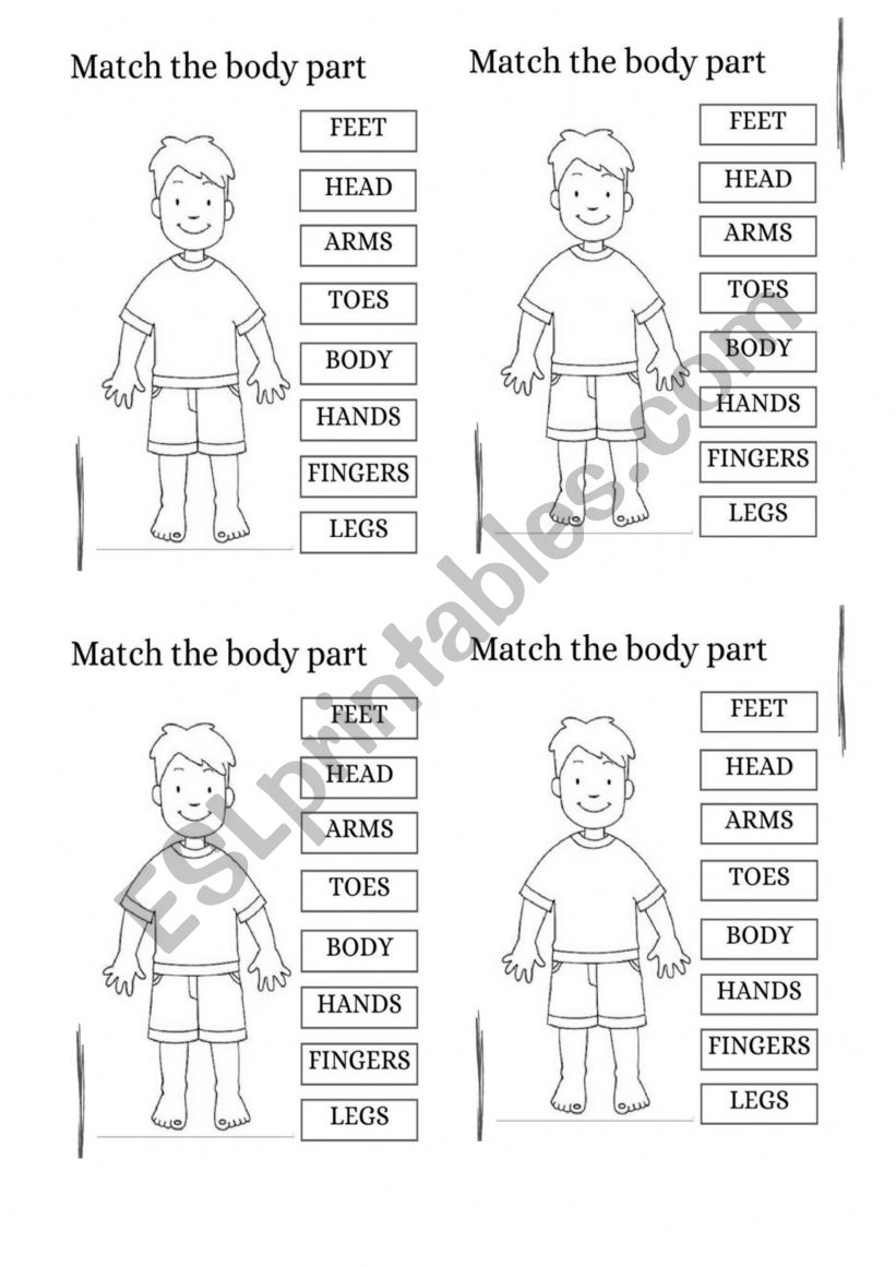 parts of the body worksheet