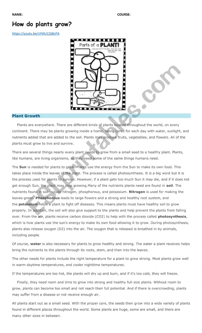 How do plants grow? worksheet