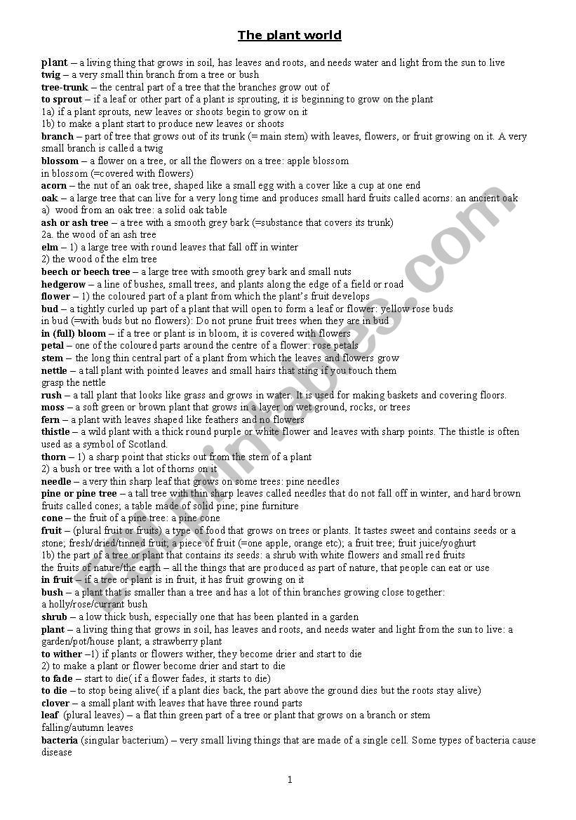 The plant world worksheet