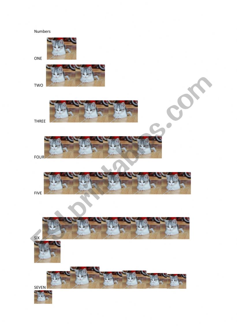 NUMBERS 1 TO SEVEN worksheet