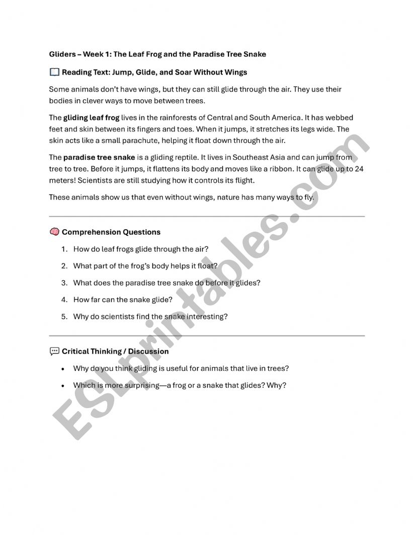 Gliding animals worksheet worksheet