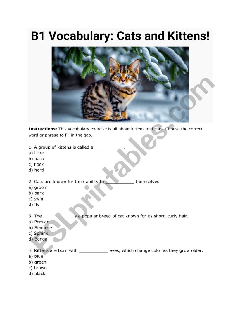 B2 Vocabulary - Fill in the Blank Exercise - Cats and Kittens