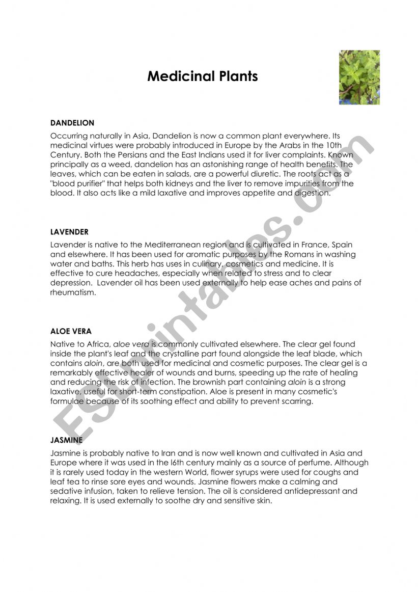 Medicinal Plants worksheet