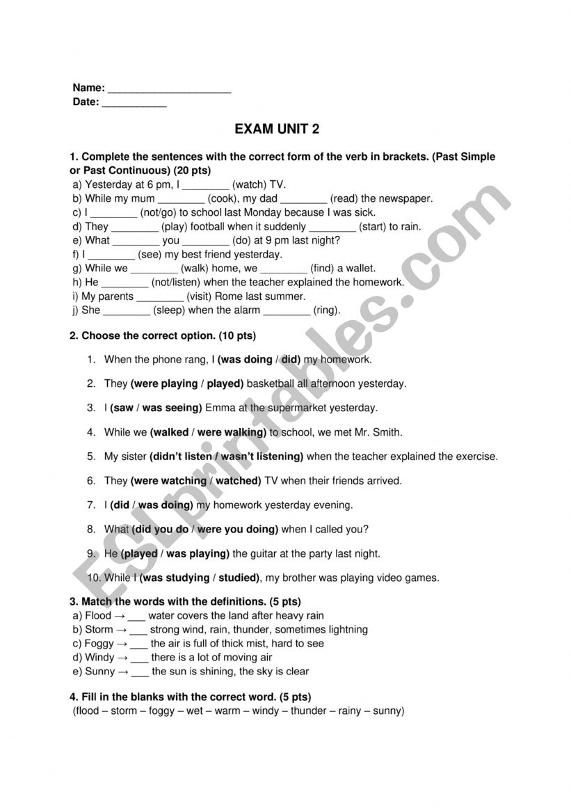 Past simple and continuous worksheet
