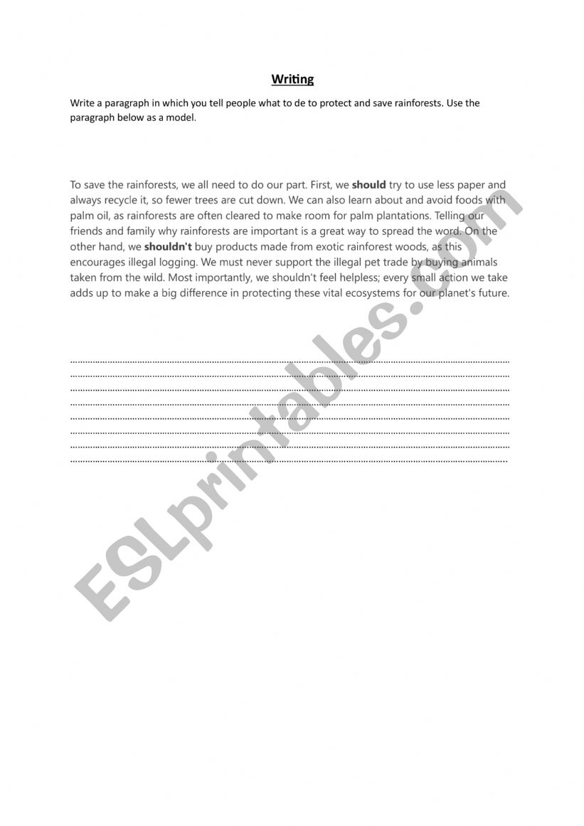write a paragraph about rainforests