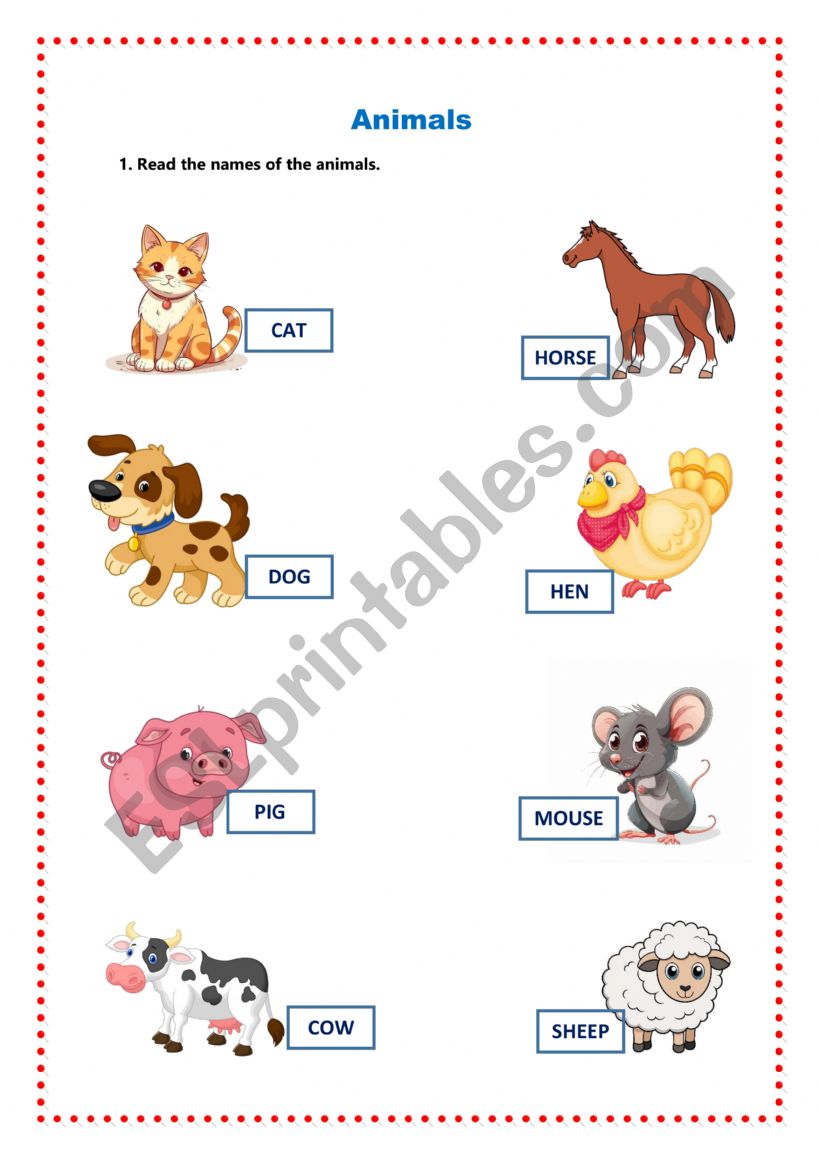 Animals worksheet