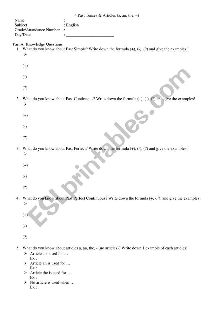 Past tenses and article worksheet