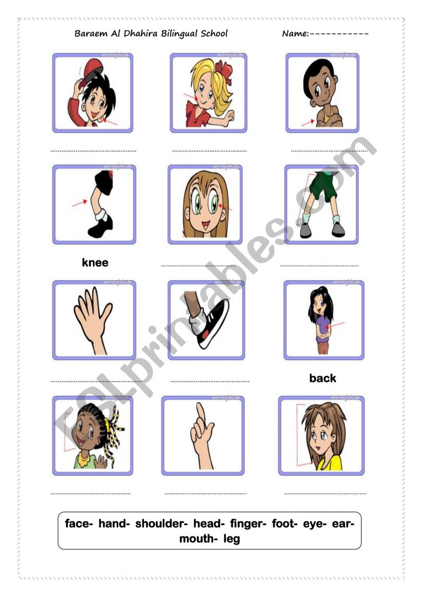 body parts worksheet