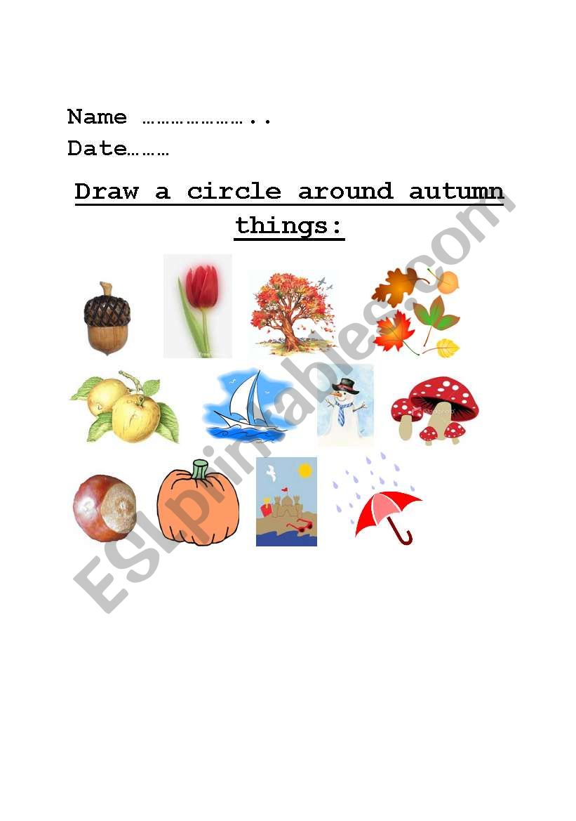 Autumn  worksheet