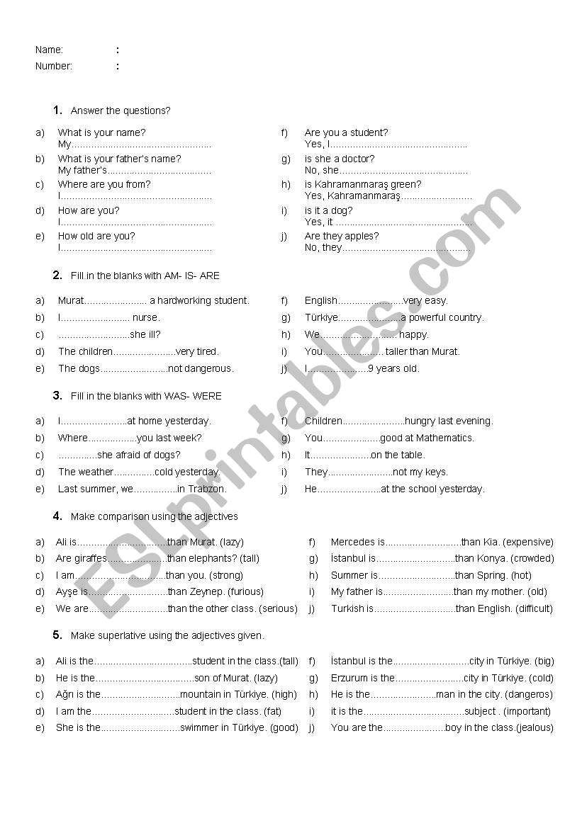 worksheet worksheet