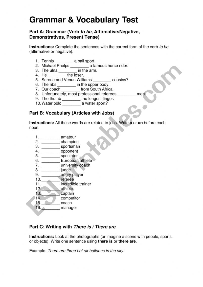 To be, a /an/ some /any  worksheet