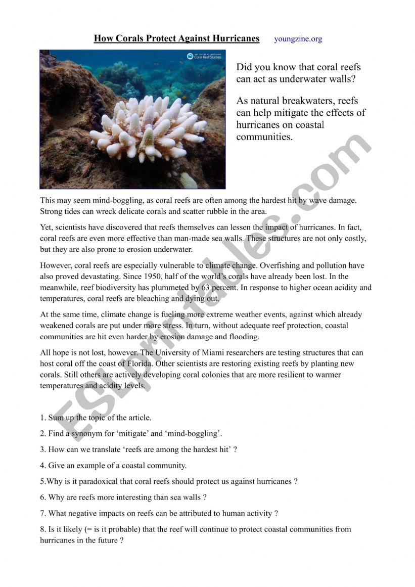Work on article on coral seas plus work on an excerpt from Blue Planet