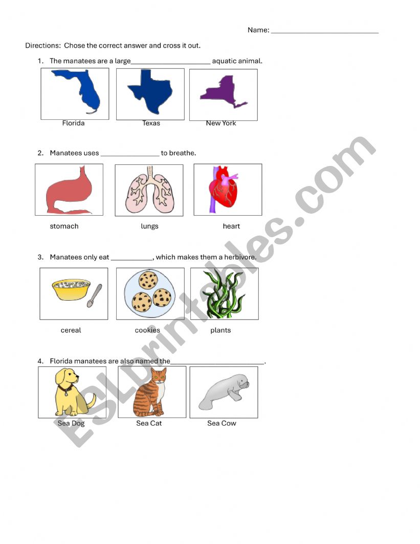 Manatee questions worksheet