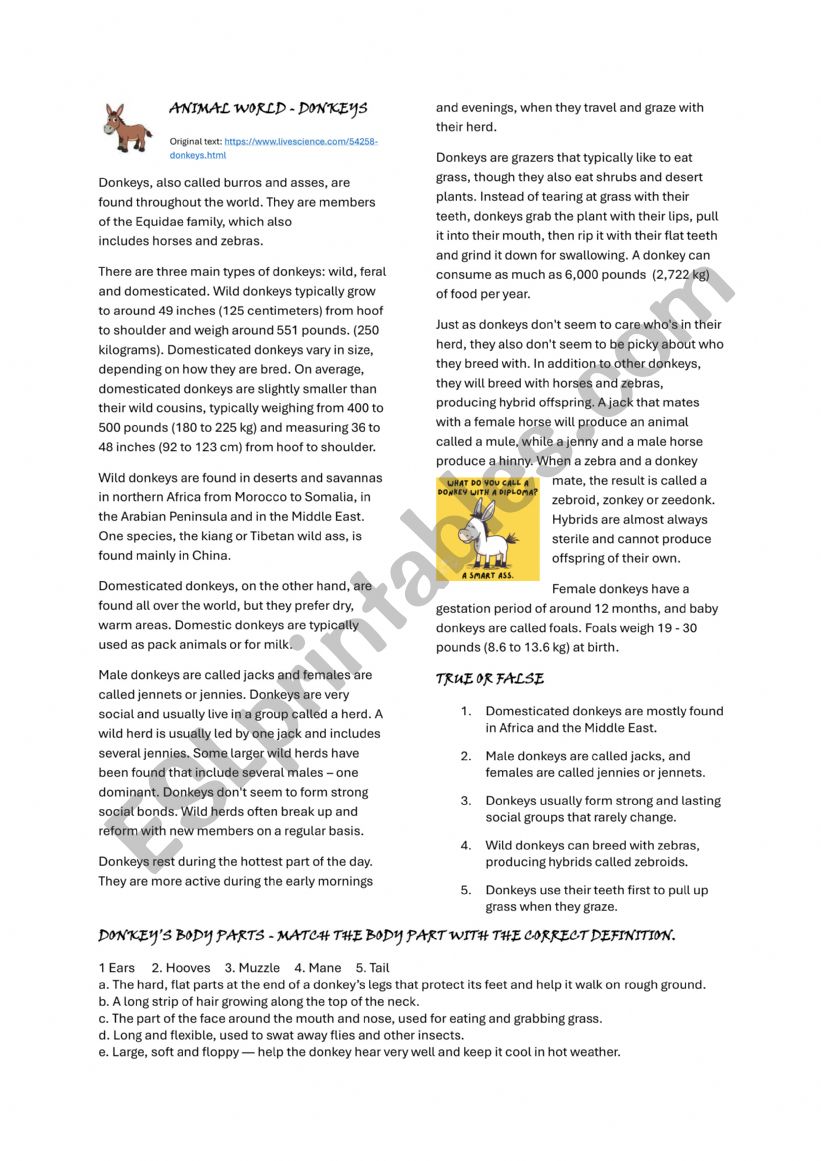 Animal world - Donkeys worksheet