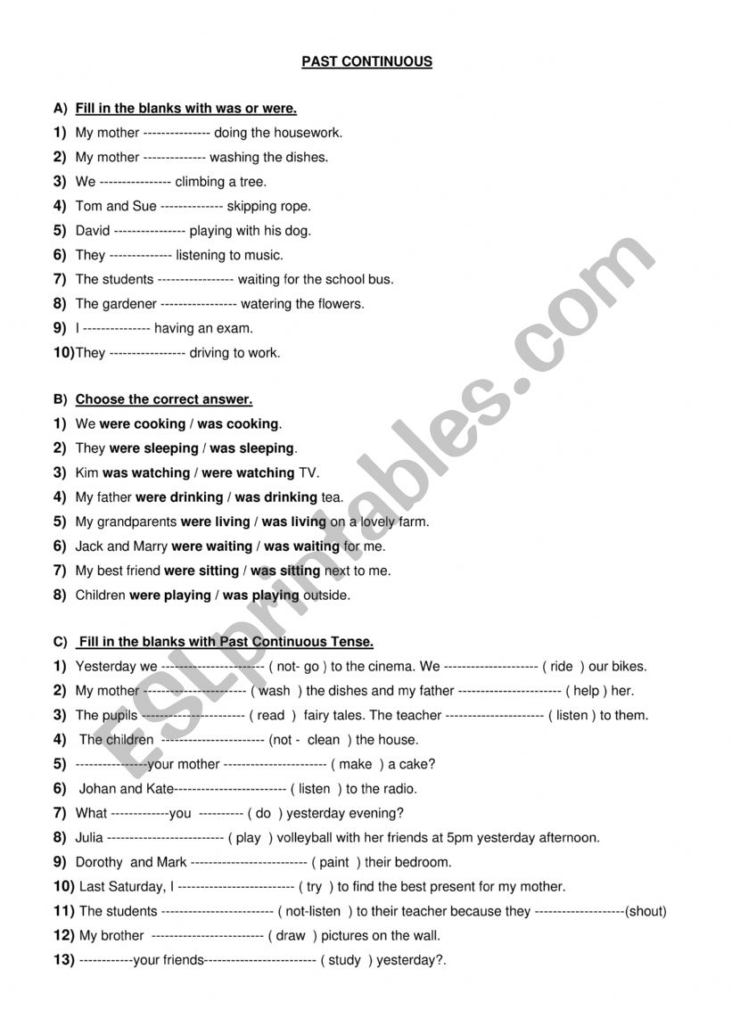 PAST CONTINUOUS worksheet