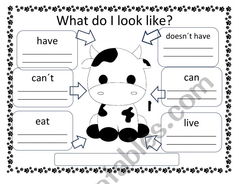 animals description worksheet