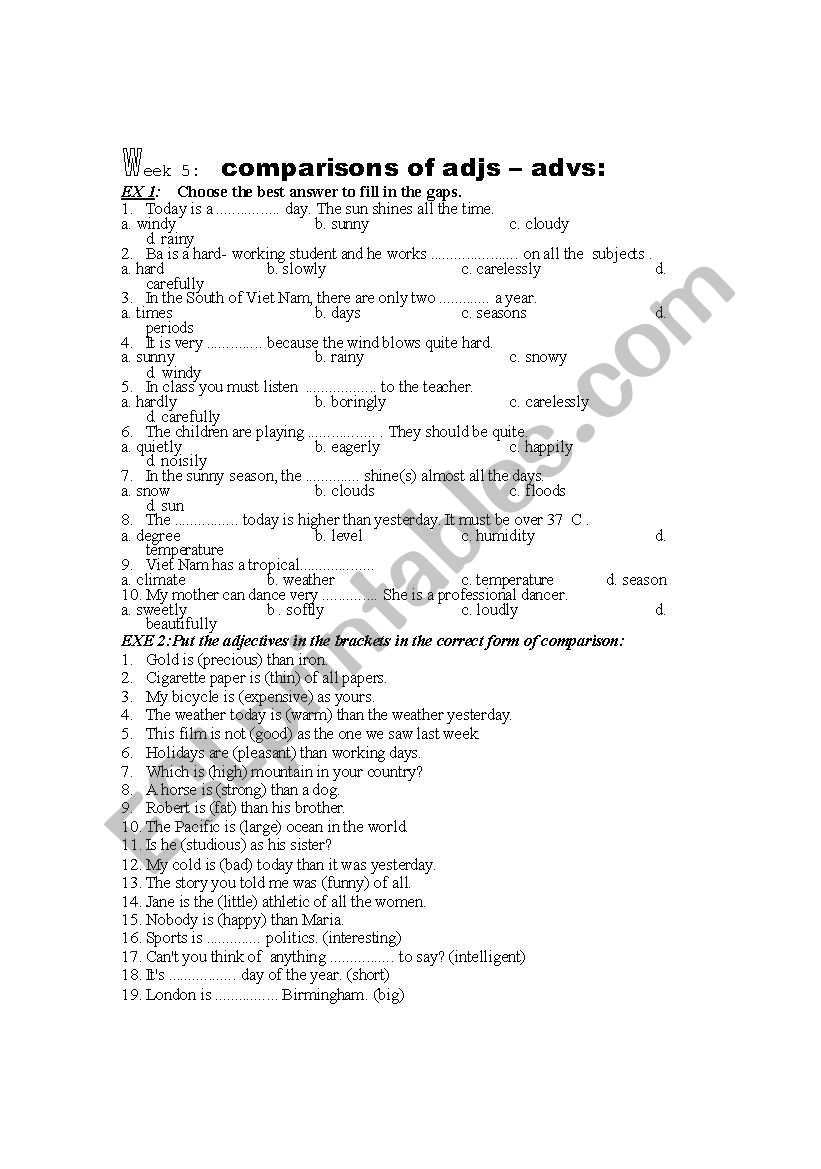 exercise of comparison worksheet