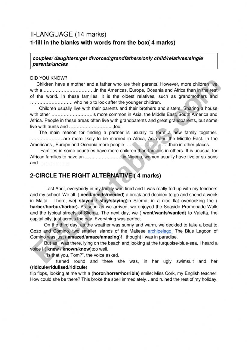 M9TH FORM MIS TERM TEST 1 LANGUAGE PART