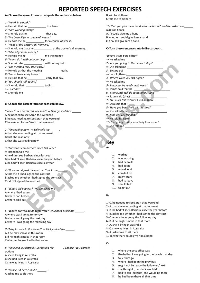 REPORTED SPEECH EXERCISES worksheet