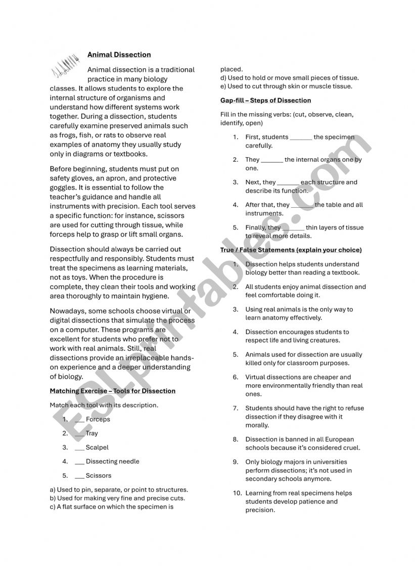 Animal Dissection (B1/B2-) worksheet