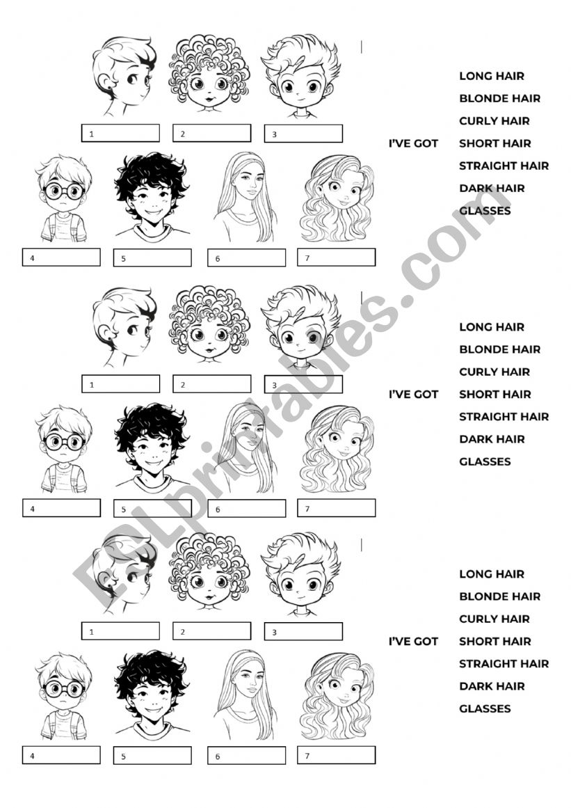 HAIR VOCABULARY worksheet HAIR VOCABULARY worksheet