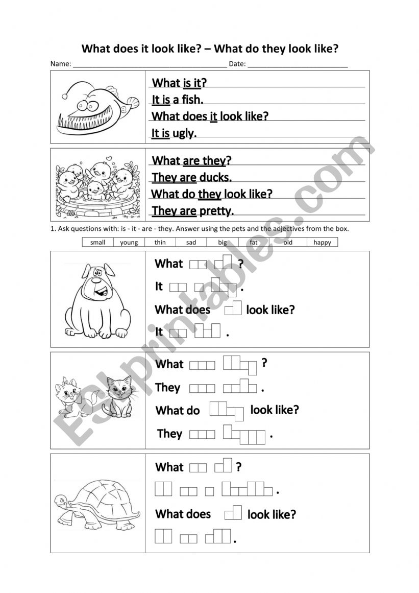 What does it look like? - What do they look like?