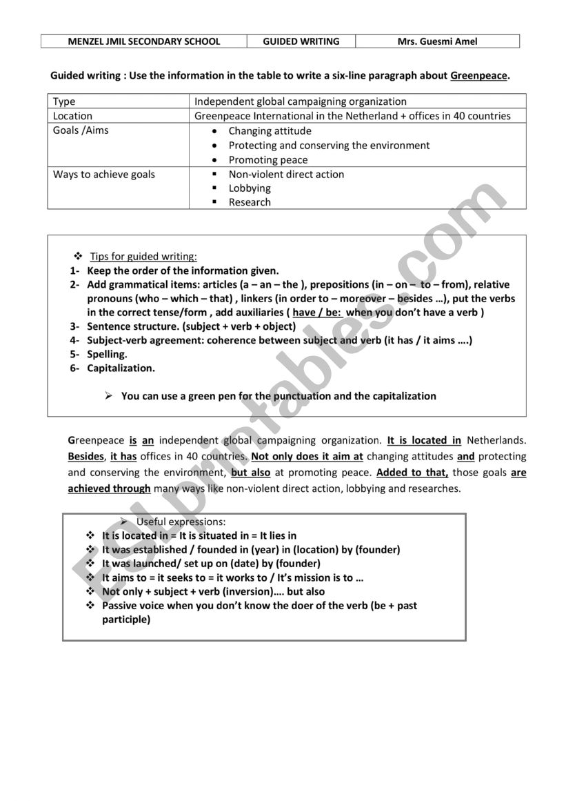 writing about an organization worksheet
