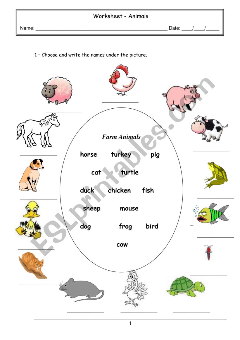 animals worksheet