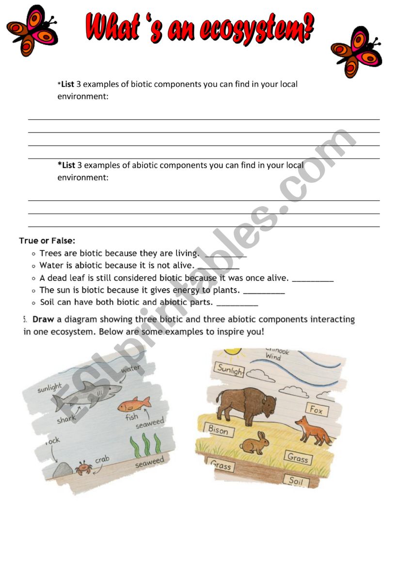 Ecosystem worksheet