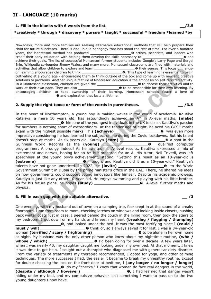 language exercises worksheet