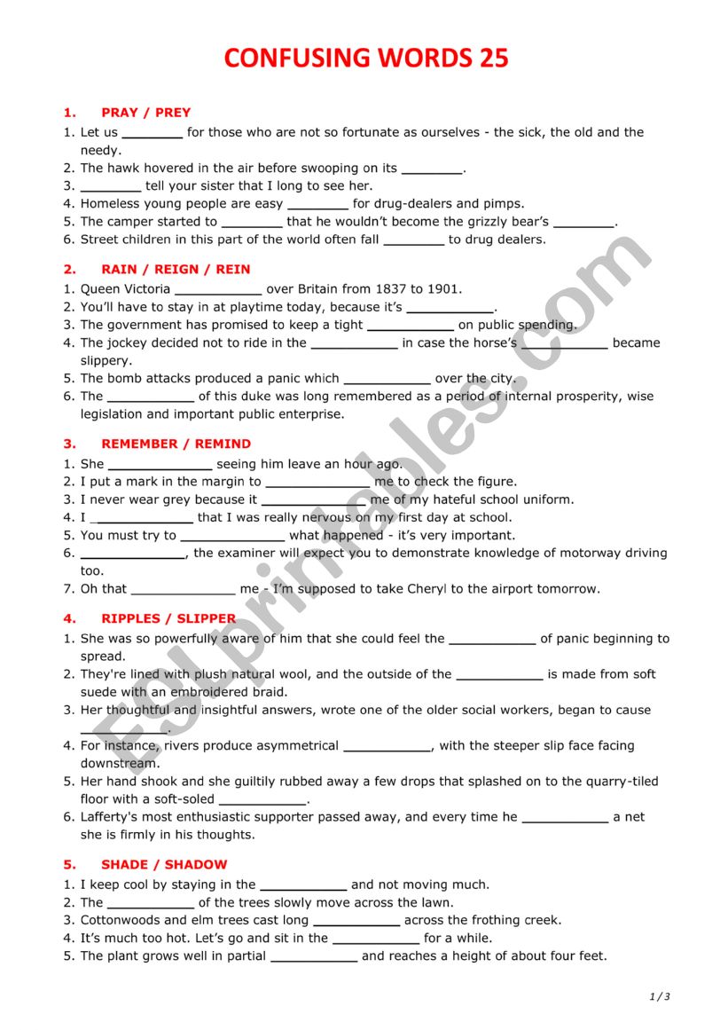 Confusing words 25 worksheet