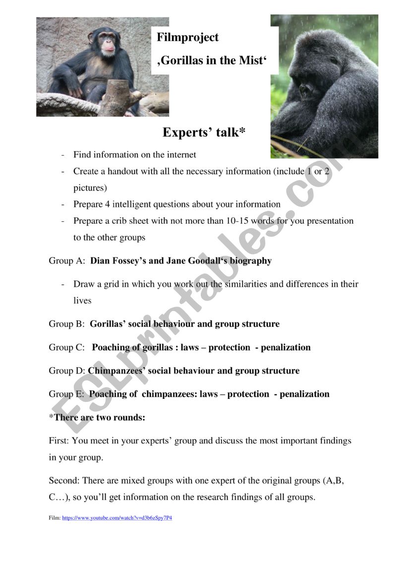 Film project_Gorillas in the Mist (group work)