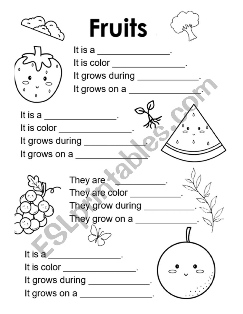 About Fruits worksheet