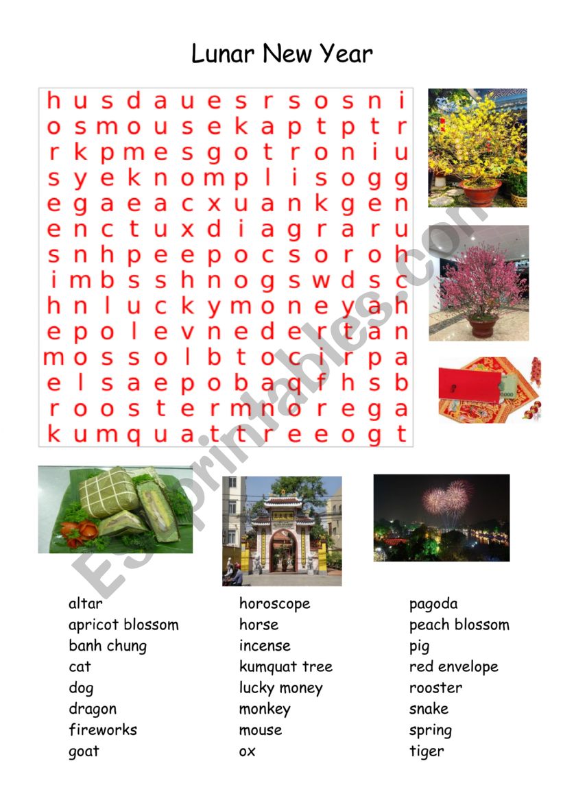 Tet Wordsearch worksheet