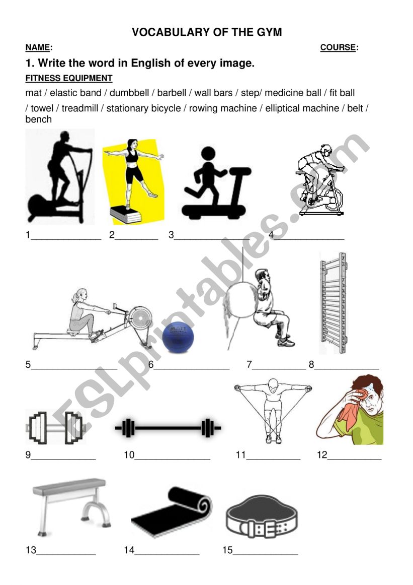 gym equipment worksheet