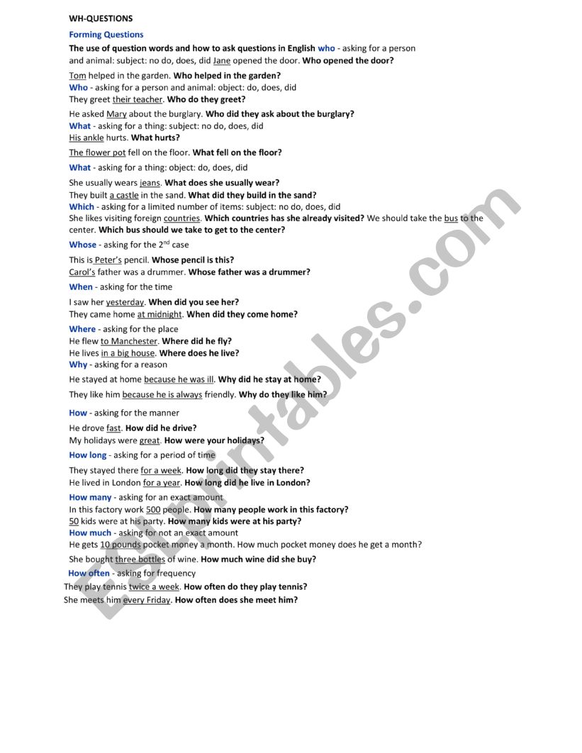 wh questions worksheet