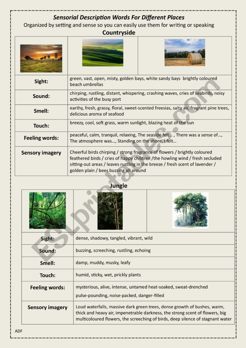 SENSORIAL DESCRIPTION  worksheet